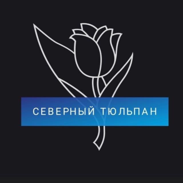 5312403267436800450